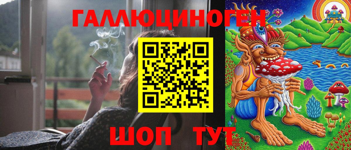 Псилоцибиновые грибы Psilocybine cubensis Добрянка